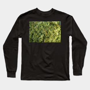 Riesling Grapes at Magpie Springs by Avril Thomas Long Sleeve T-Shirt